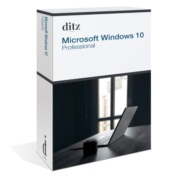Windows 10 Professional